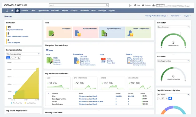 netsuite erp implementation